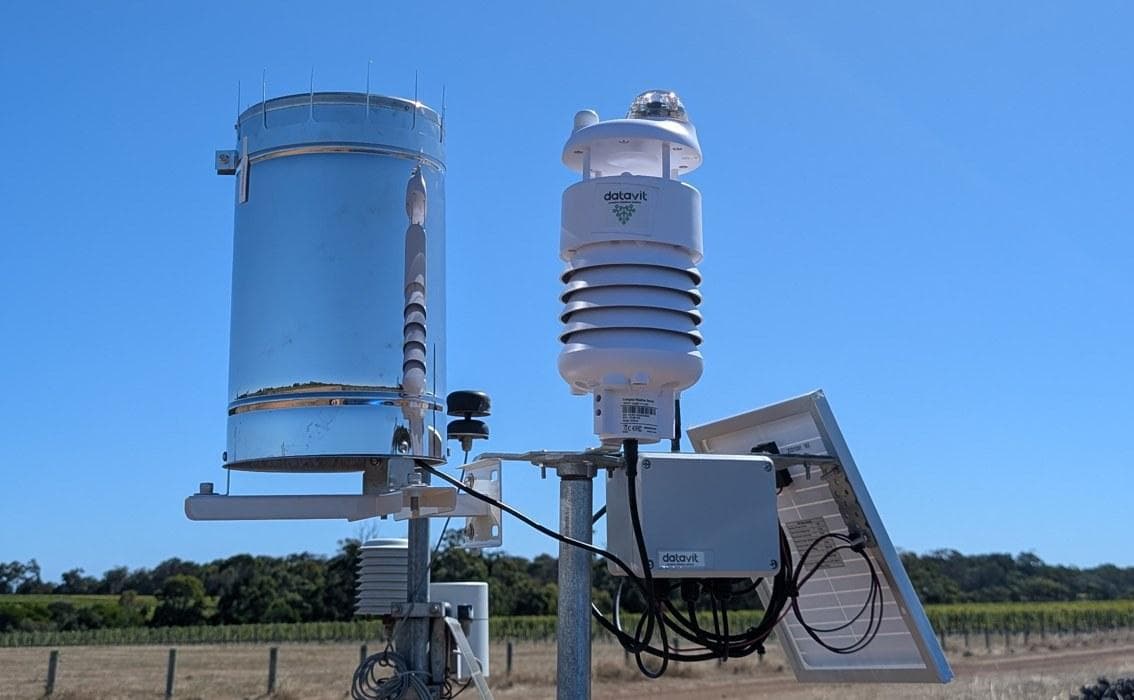 A DataVit weather station installed in a vineyard, with rain gauge, sensors and solar panel